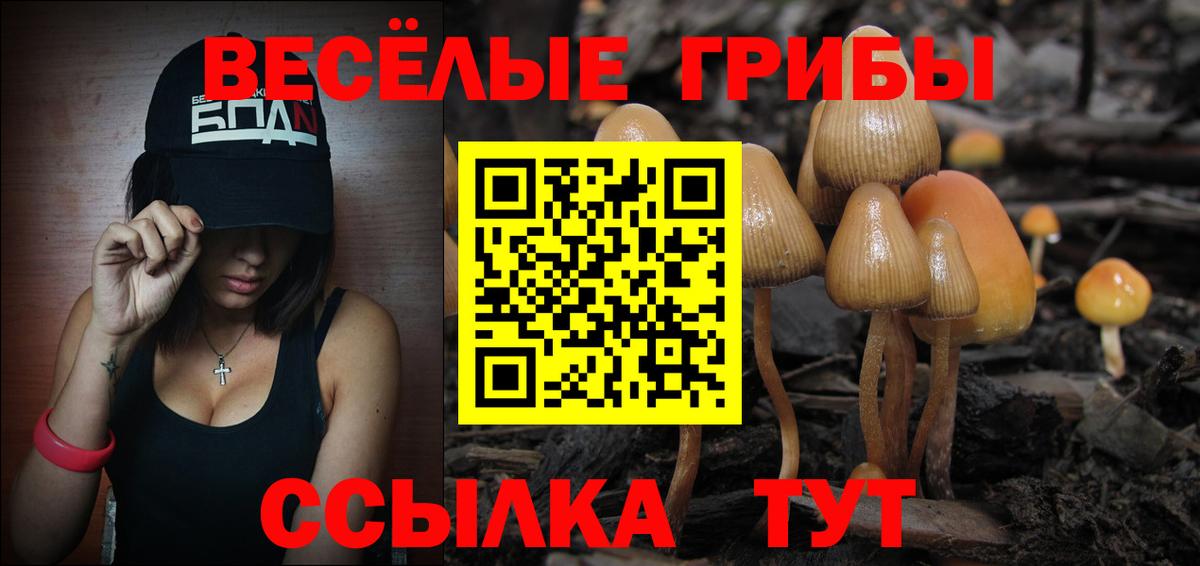 Галлюциногенные грибы Cubensis  Вход с VPN  Волжский 