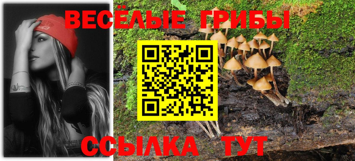 Галлюциногенные грибы Psilocybe Волжский